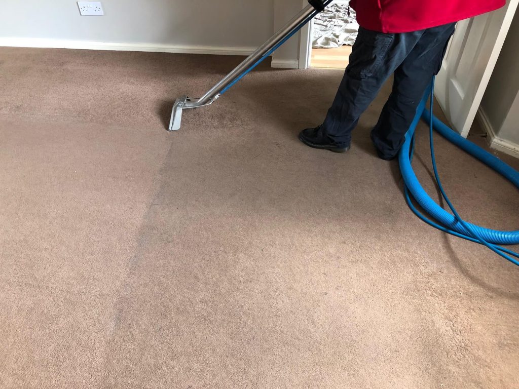 DIY Cleaning Trick for Your Carpet